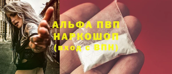 СК Магадан
