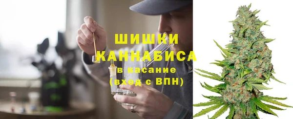 прущие крисы Магас