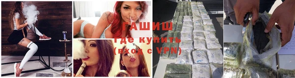 прущие крисы Магас