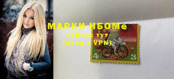 шишки Майский
